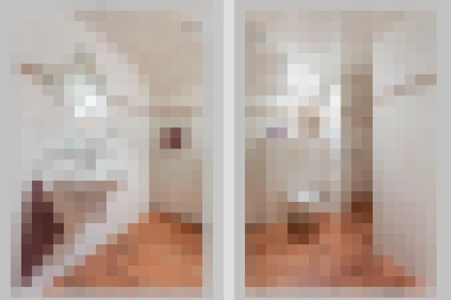 Jooststraat 4 Geesteren thumbnail 13