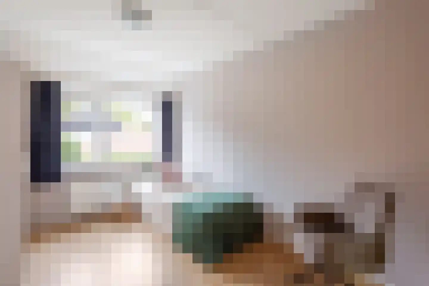 Jooststraat 4 Geesteren thumbnail 17