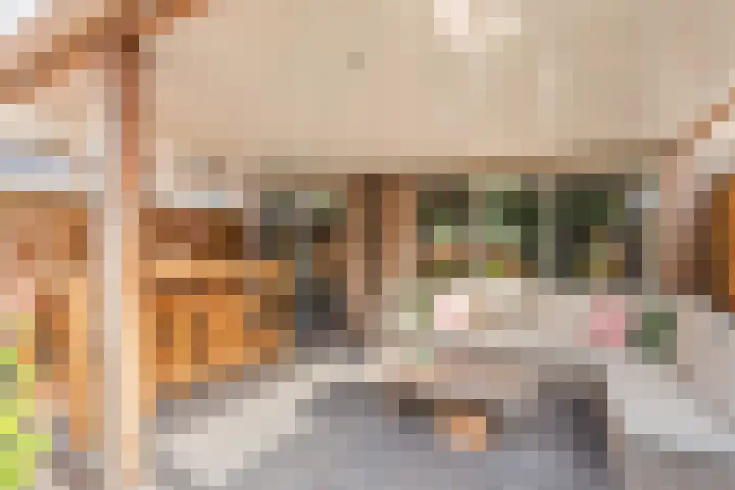 Jooststraat 4 Geesteren thumbnail 19