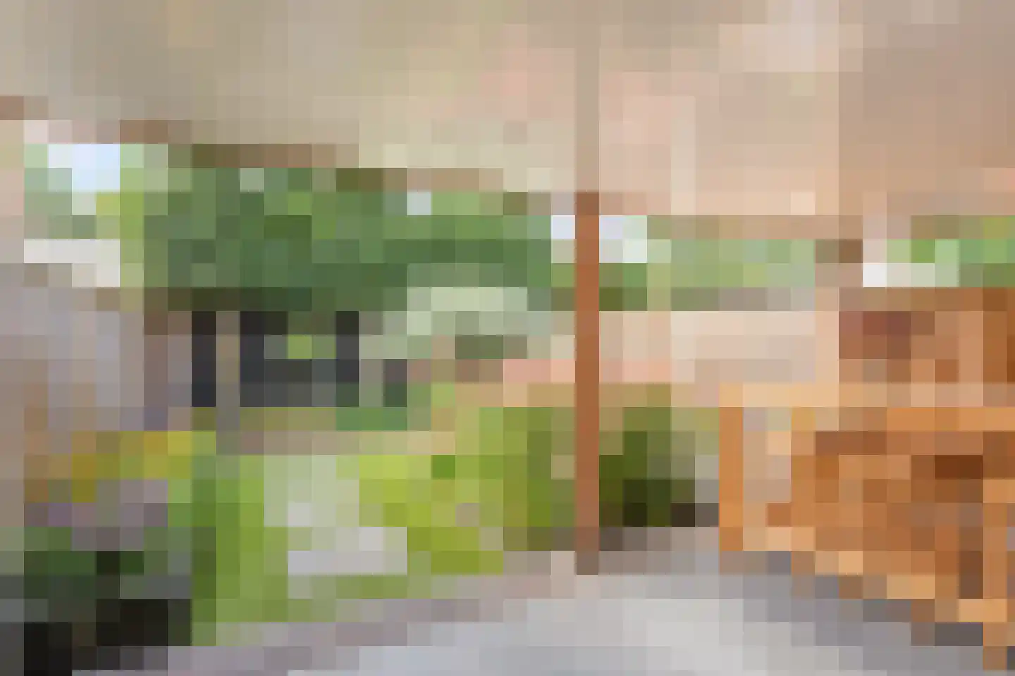 Jooststraat 4 Geesteren thumbnail 20