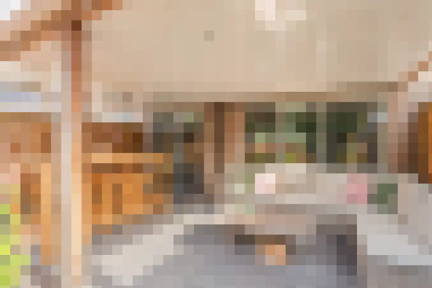 Jooststraat 4 Geesteren thumbnail 5