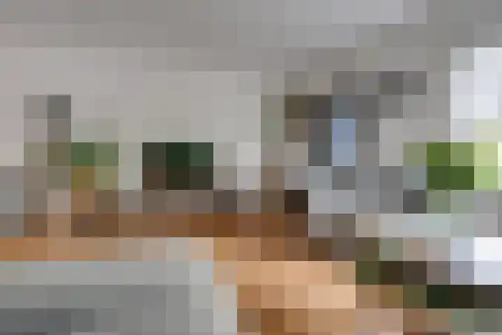 Joostveld 12 Roosendaal thumbnail 11