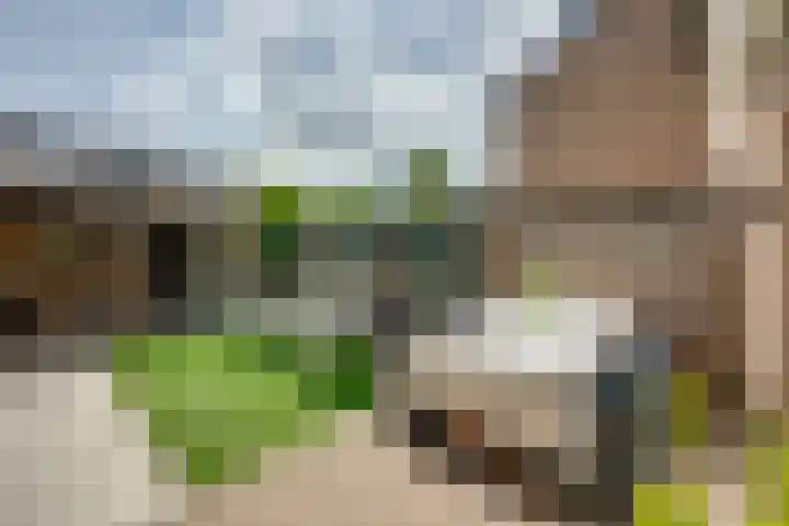 Joostveld 12 Roosendaal thumbnail 27