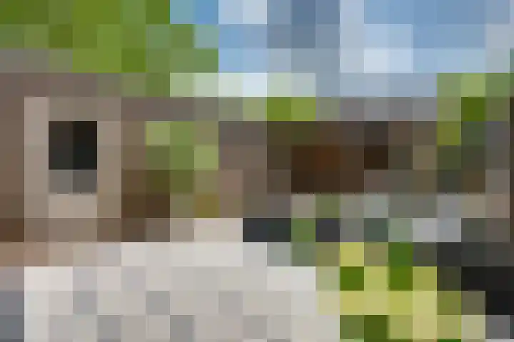 Joostveld 12 Roosendaal thumbnail 28