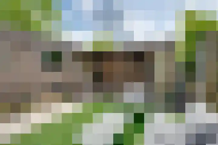 Joostveld 12 Roosendaal thumbnail 29