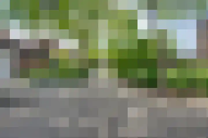 Joostveld 12 Roosendaal thumbnail 35