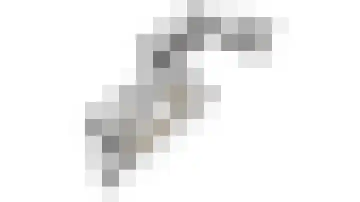 Joostveld 12 Roosendaal thumbnail 38