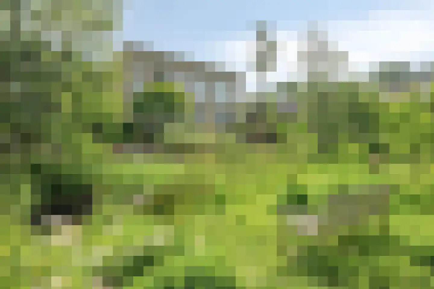 Jopie Huismanstraat 153 Utrecht thumbnail 39
