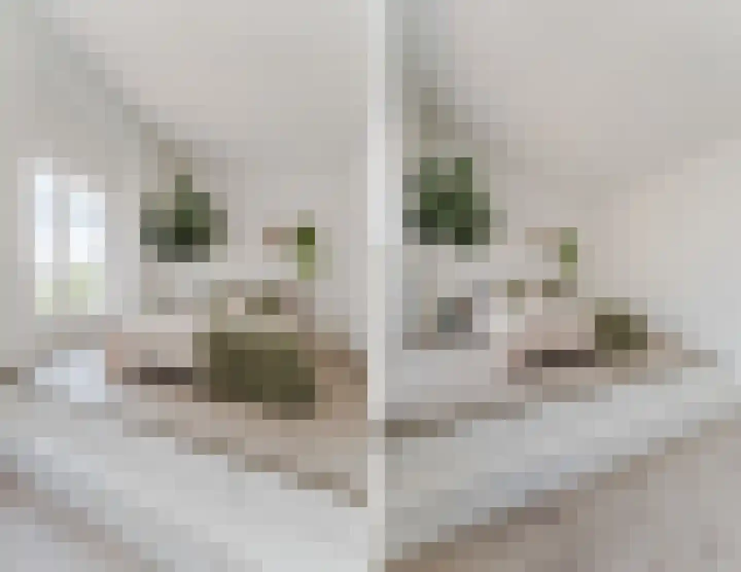 Jopie Huismanstraat 153 Utrecht thumbnail 57