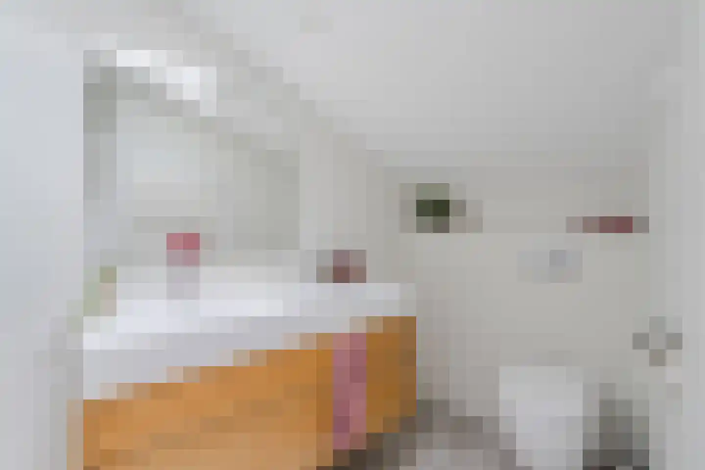 Jopie Huismanstraat 153 Utrecht thumbnail 65