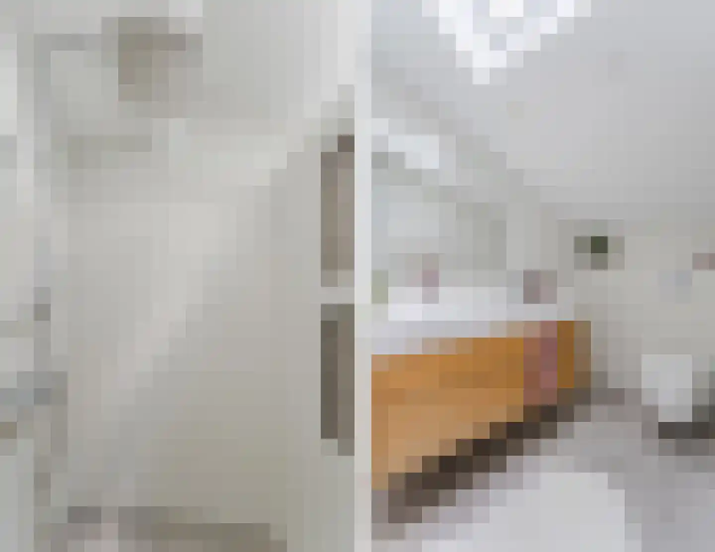 Jopie Huismanstraat 153 Utrecht thumbnail 66
