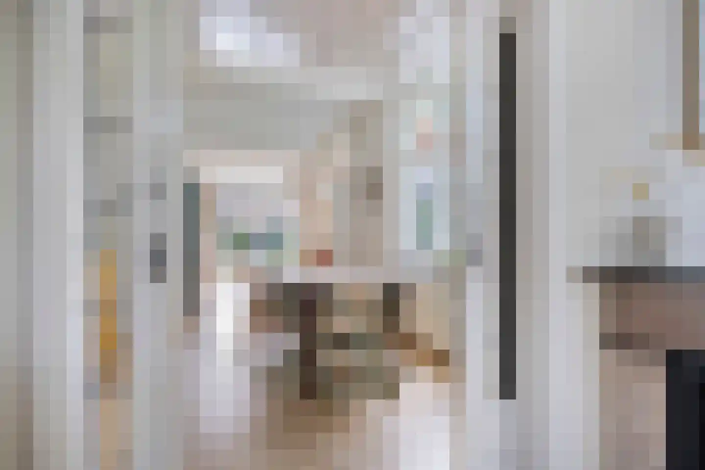 Joppelaan 20 Gorssel thumbnail 12