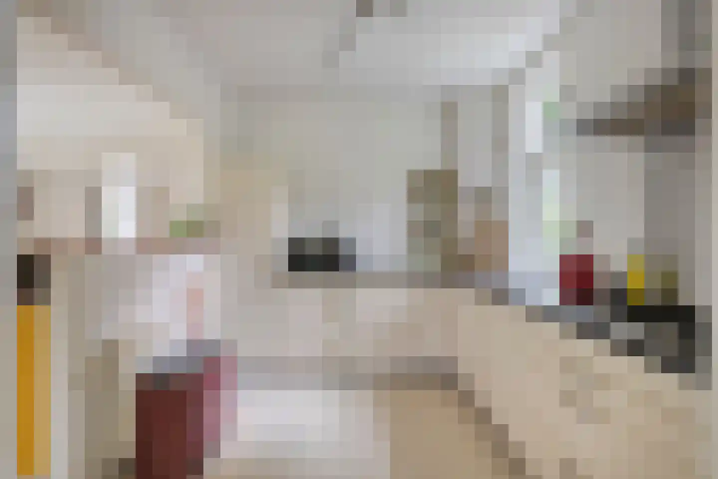 Joppelaan 20 Gorssel thumbnail 15