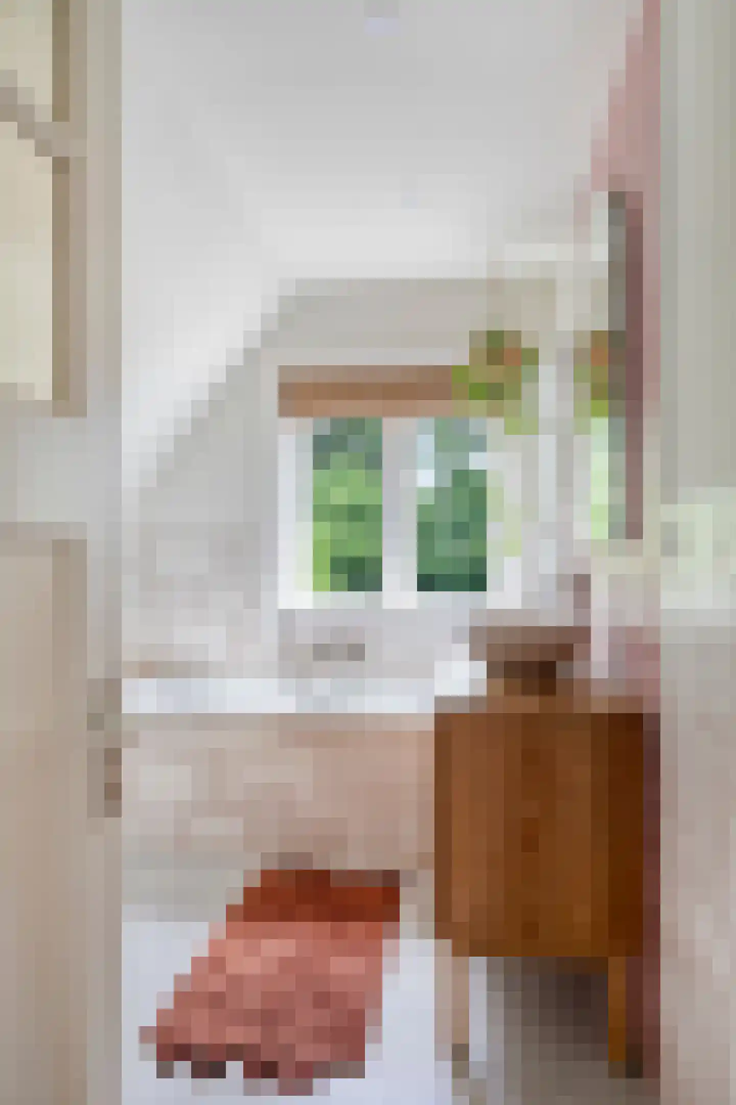 Joppelaan 20 Gorssel thumbnail 30