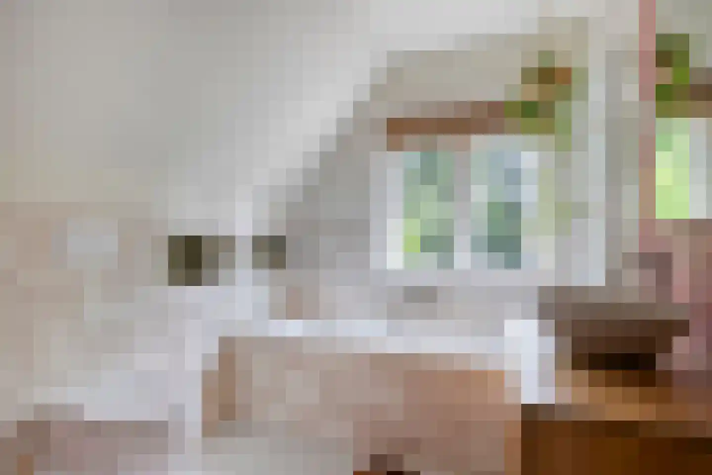 Joppelaan 20 Gorssel thumbnail 31