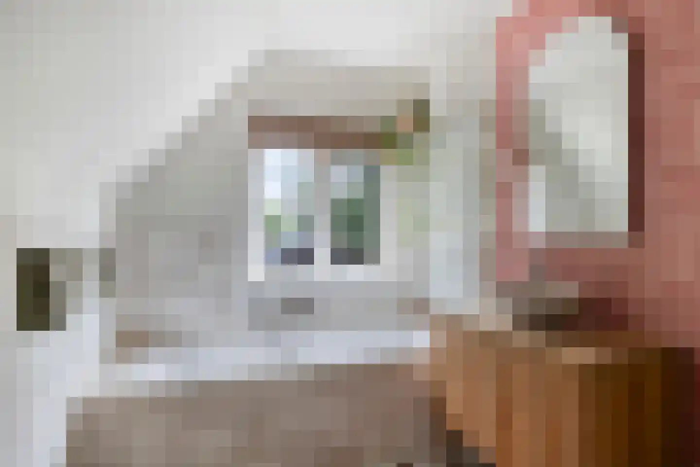 Joppelaan 20 Gorssel thumbnail 32