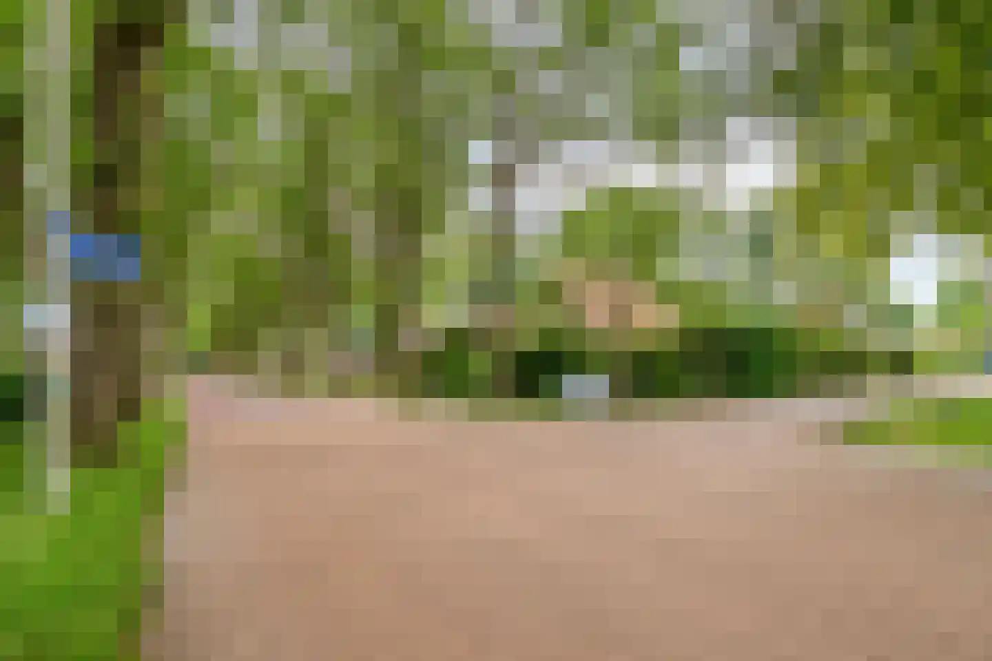 Joppelaan 20 Gorssel thumbnail 38