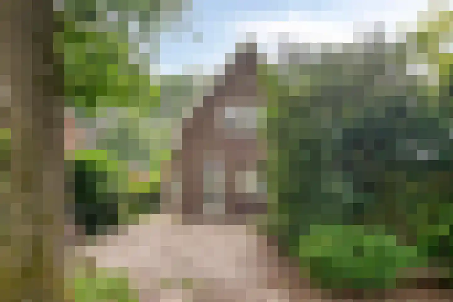 Joppelaan 20 Gorssel thumbnail 4