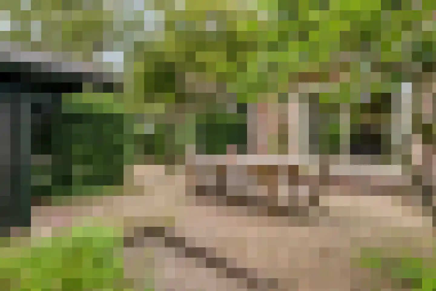 Joppelaan 20 Gorssel thumbnail 40