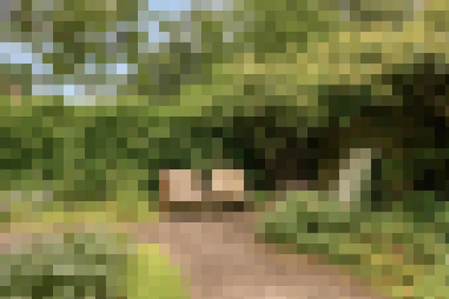 Joppelaan 20 Gorssel thumbnail 41