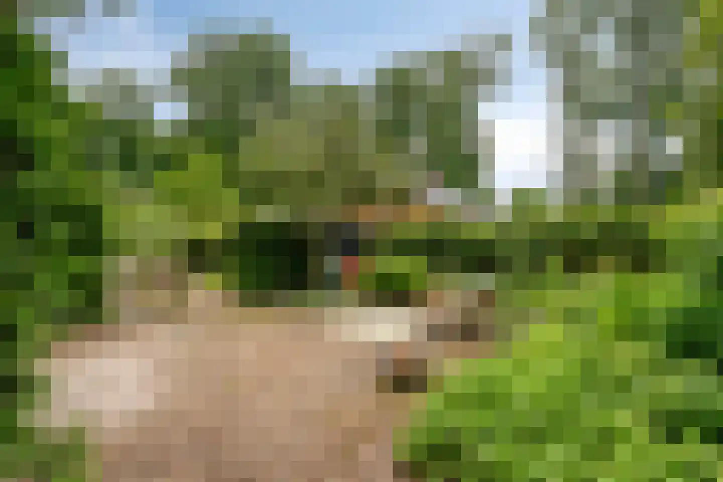 Joppelaan 20 Gorssel thumbnail 43