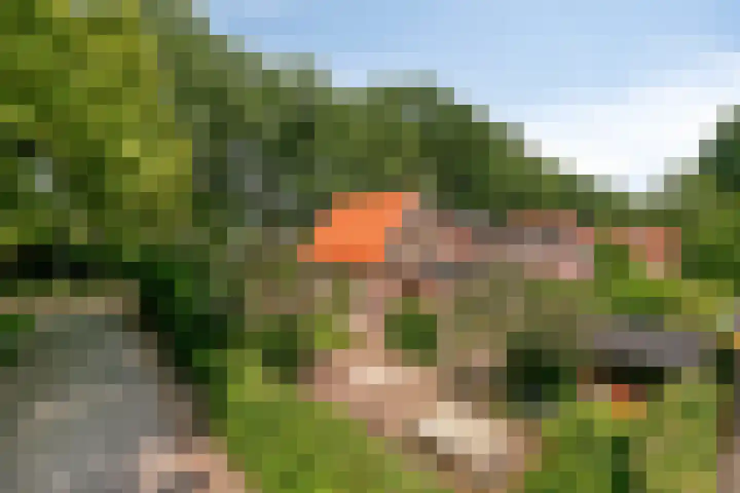 Joppelaan 20 Gorssel thumbnail 47