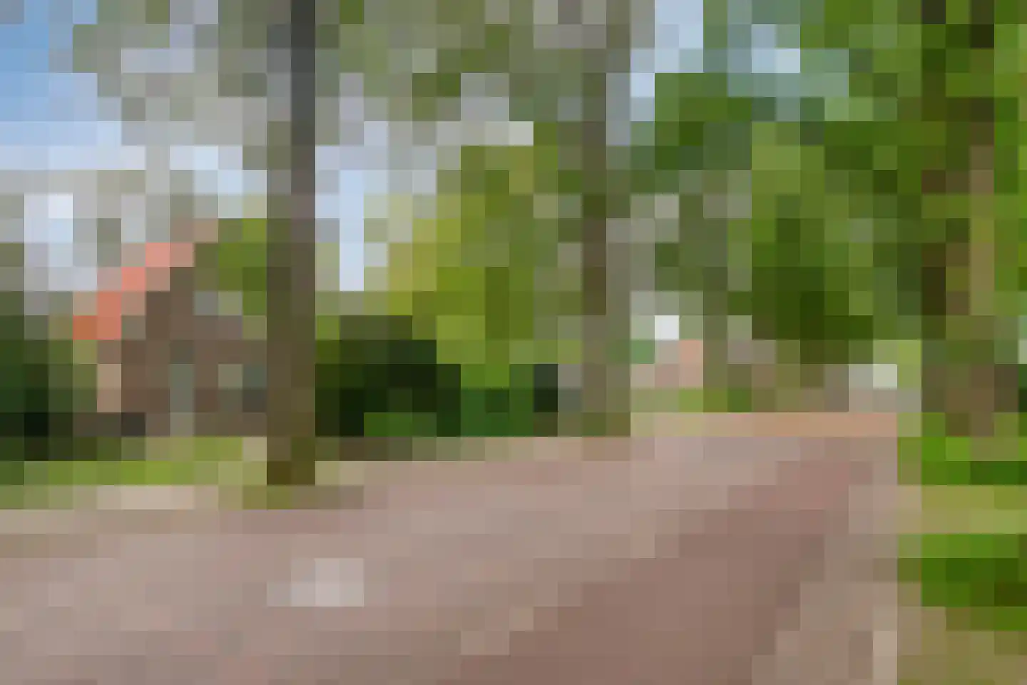 Joppelaan 20 Gorssel thumbnail 5