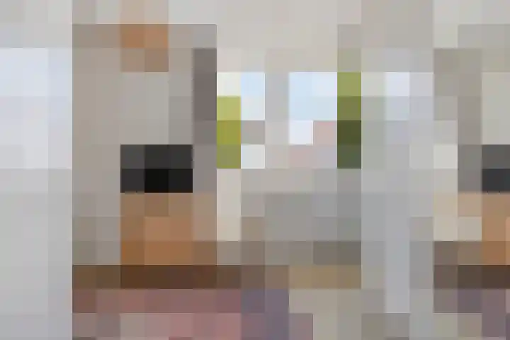 Joppelaan 45 a Gorssel thumbnail 11