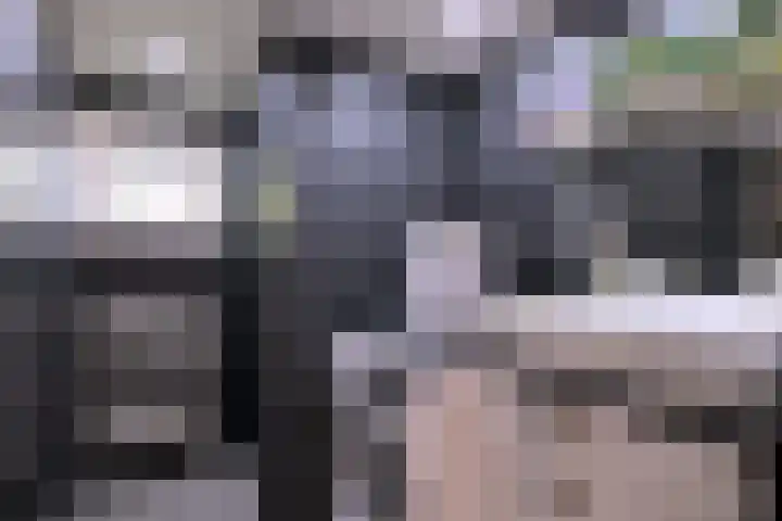 Joppelaan 45 a Gorssel thumbnail 16