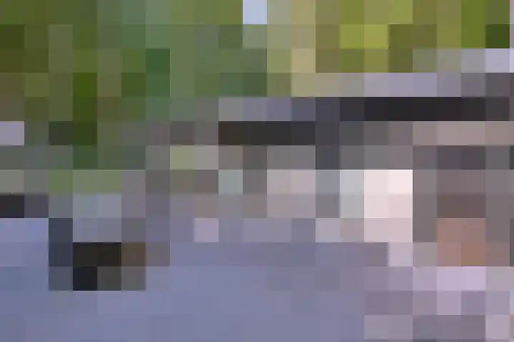 Joppelaan 45 a Gorssel thumbnail 19