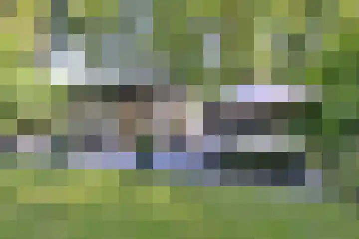 Joppelaan 45 a Gorssel foto 2