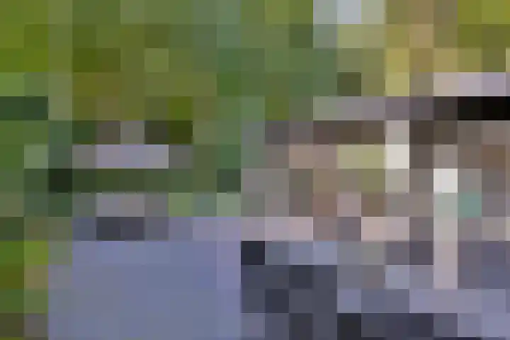 Joppelaan 45 a Gorssel thumbnail 20