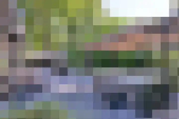 Joppelaan 45 a Gorssel thumbnail 22