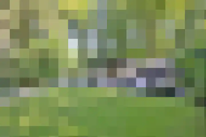 Joppelaan 45 a Gorssel thumbnail 25