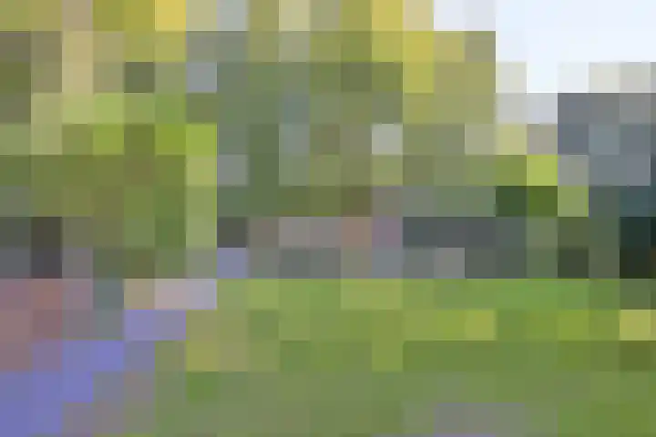 Joppelaan 45 a Gorssel thumbnail 26