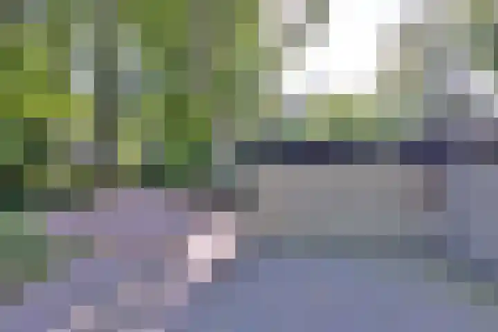 Joppelaan 45 a Gorssel thumbnail 27