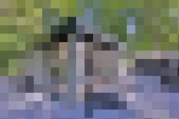 Joppelaan 45 a Gorssel thumbnail 4