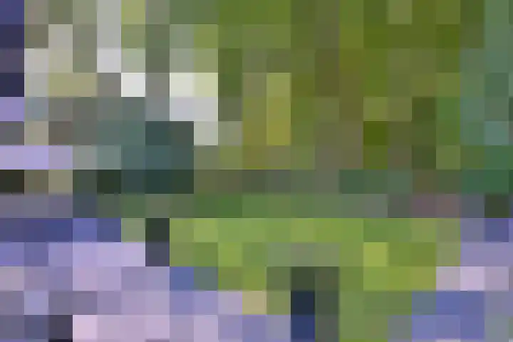 Joppelaan 45 a Gorssel thumbnail 5