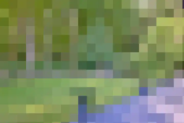 Joppelaan 45 a Gorssel thumbnail 6