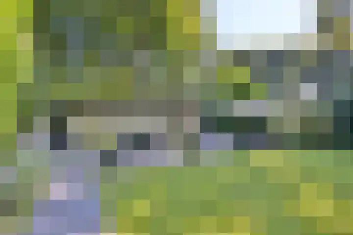 Joppelaan 45 a Gorssel thumbnail 7