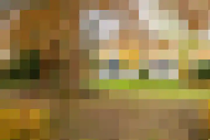 Joppelaan 60 in Gorssel