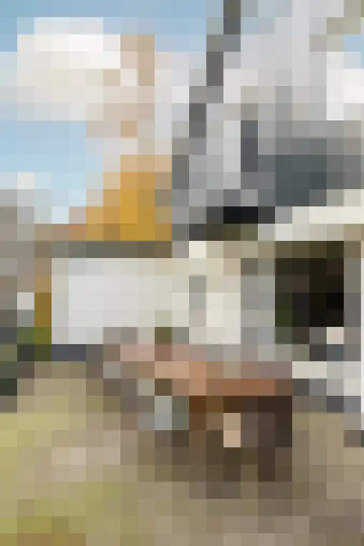 Joppelaan 60 Gorssel thumbnail 13