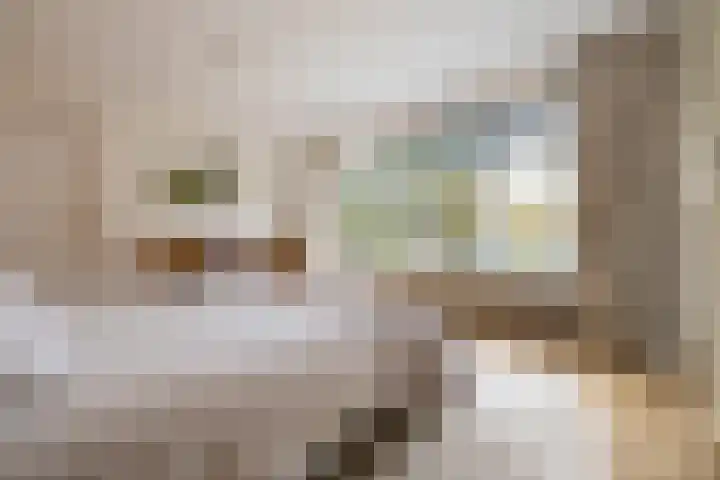 Joppelaan 60 Gorssel thumbnail 30