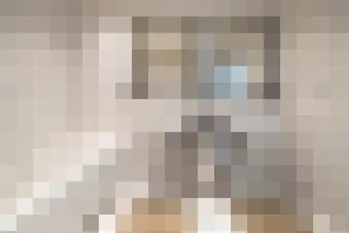 Joppelaan 60 Gorssel thumbnail 32