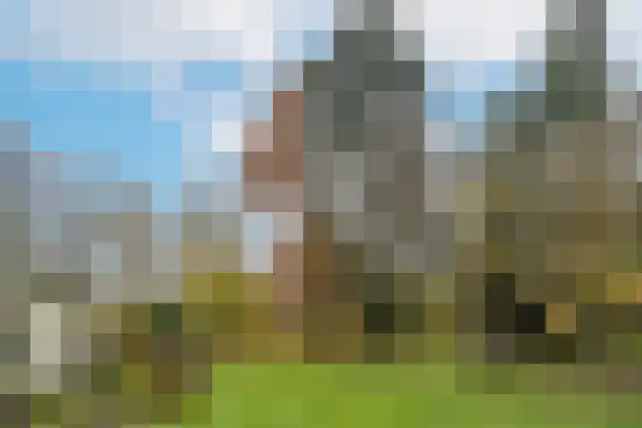 Joppelaan 60 Gorssel thumbnail 42