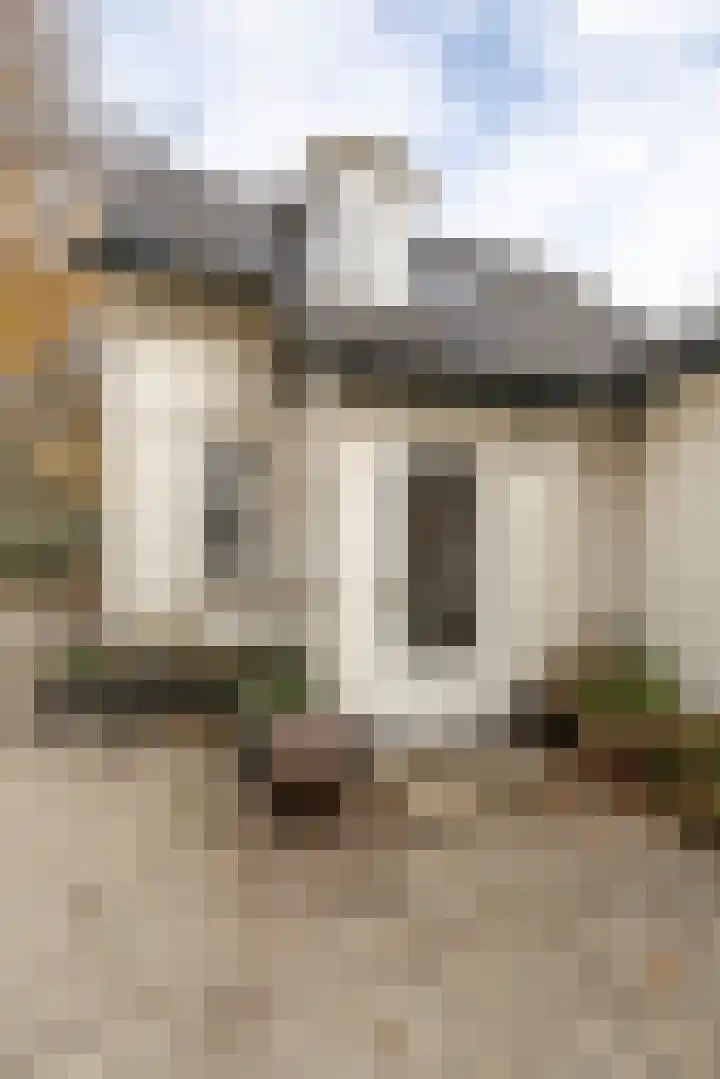 Joppelaan 60 Gorssel thumbnail 46