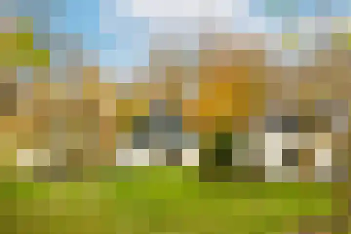 Joppelaan 60 Gorssel thumbnail 5