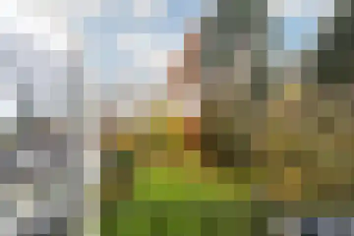 Joppelaan 60 Gorssel thumbnail 54