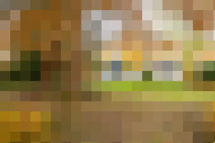Joppelaan 60 Gorssel thumbnail 6
