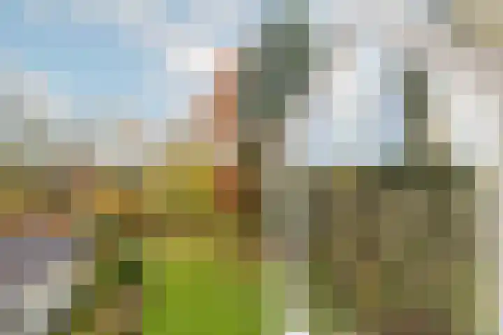 Joppelaan 60 Gorssel thumbnail 64